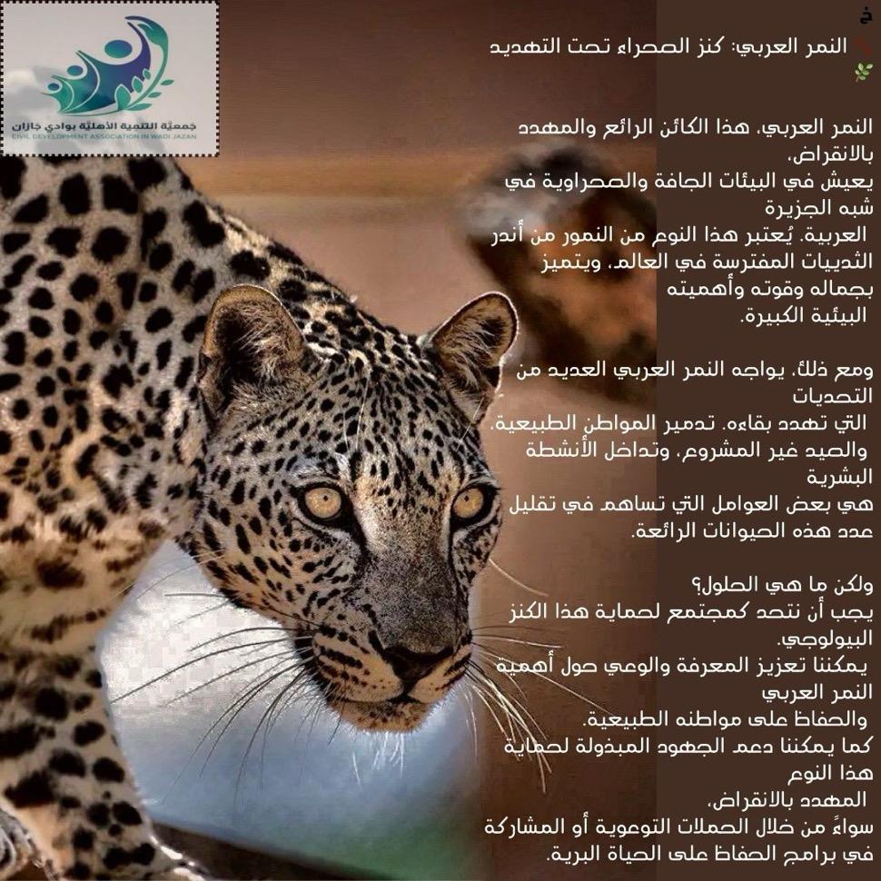 كنز الصحراء تحت التهديد